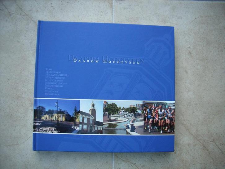 Nieuwstaat prachtig boek: Daarom Hoogeveen-Martin Laning, Boeken, Geschiedenis | Stad en Regio, Zo goed als nieuw, 20e eeuw of later