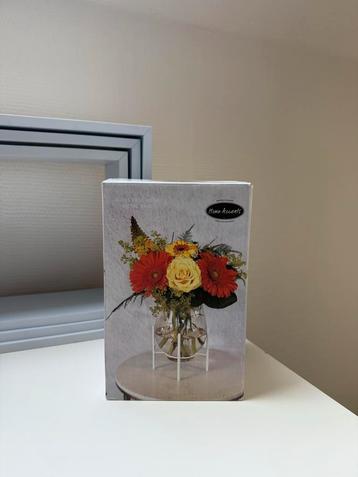 Mooie Vaas - Nieuw in Verpakking! beschikbaar voor biedingen