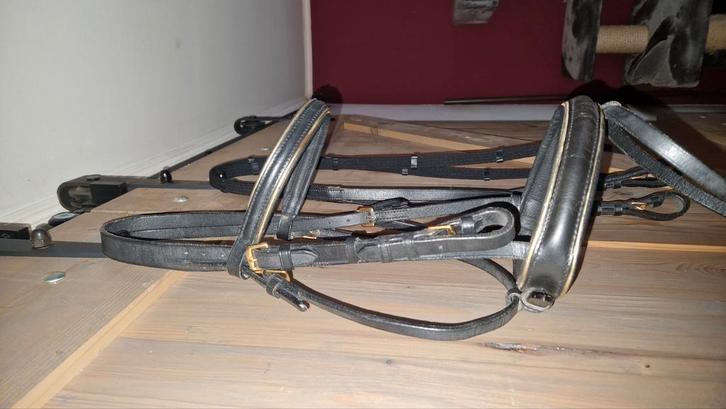 Pony hoofdstel, Dieren en Toebehoren, Paarden en Pony's | Hoofdstellen en Tuigage, Ophalen of Verzenden