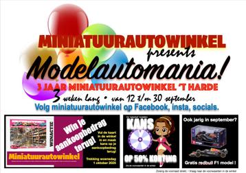 Miniatuurautowinkel 3 jaar beschikbaar voor biedingen