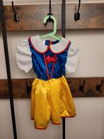 Carnavalskleding Dreumes Maat 86, Ophalen of Verzenden, Zo goed als nieuw, 104 of kleiner, Meisje