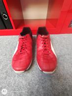 Puma Sneakers Rood Ferrari Maat 41, Kleding | Heren, Schoenen, Puma, Overige kleuren, Sportschoenen, Ophalen of Verzenden