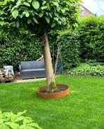 Corten gietranden diverse maten cortenstaal, Ophalen, Minder dan 30 cm, Minder dan 60 cm, Rond