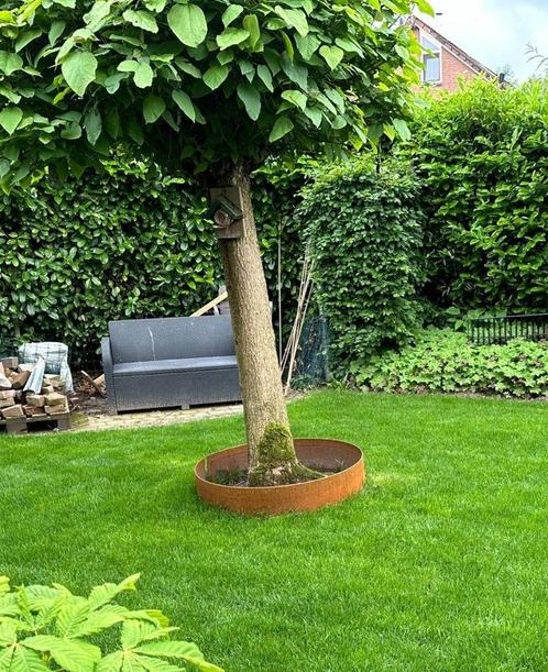 Corten gietranden diverse maten cortenstaal, Tuin en Terras, Bloembakken en Plantenbakken, Nieuw, Metaal, Tuin, Minder dan 30 cm