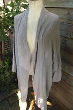 Vest grijs 10Days mt 34 ( Valt groter) Vaste prijs, 10days, Ophalen of Verzenden, Zo goed als nieuw, Maat 34 (XS) of kleiner