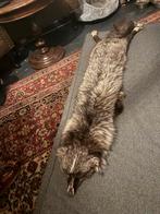 Vintage zilvervos  stola, Kleding | Dames, Mutsen, Sjaals en Handschoenen, Ophalen of Verzenden, Maat 46/48 (XL) of groter, Sjaal