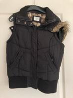 Bodywarmer met afritsbare muts maat 34, Ophalen of Verzenden, Gedragen, Maat 34 (XS) of kleiner