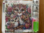 Diamond Painting 2 uilen 30x30 ronde steentjes nieuw, Hobby en Vrije tijd, Knutselen, Ophalen of Verzenden, Nieuw, Knutselwerk