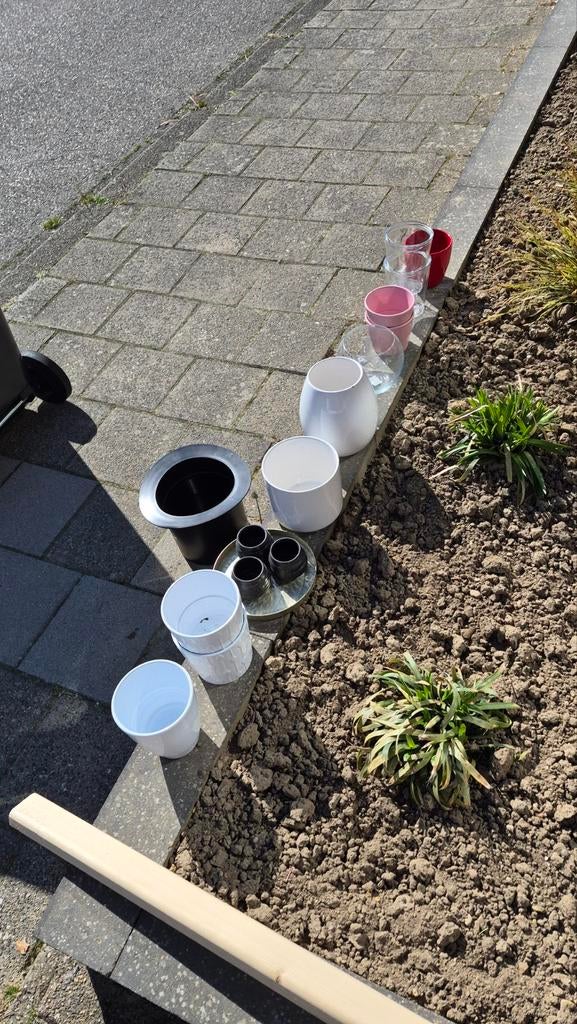 Gratis vazen en potten, Huis en Inrichting, Woonaccessoires | Vazen, Ophalen of Verzenden, Overige kleuren, Glas, Minder dan 50 cm