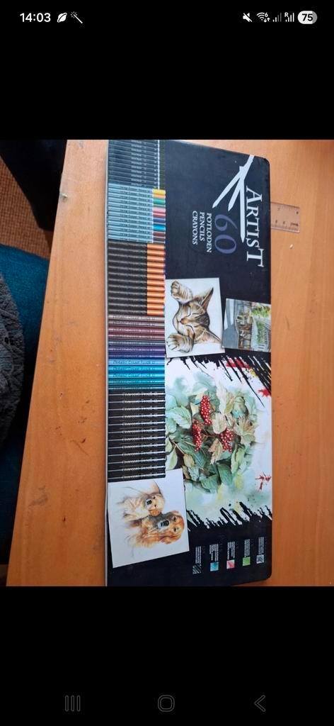 Artist Potloden Set - 60 Diverse Potloden in Blik, Hobby en Vrije tijd, Tekenen, Potlood of Stift, Ophalen of Verzenden