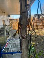 Mexicaans hoofdstel bruin, Dieren en Toebehoren, Paarden en Pony's | Hoofdstellen en Tuigage, Ophalen of Verzenden