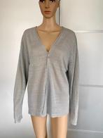 i214  linnen fijn-gebreid vest maat L=42/44 grijs vestje, Maat 42/44 (L), Ophalen of Verzenden, Zo goed als nieuw, Anna Justper