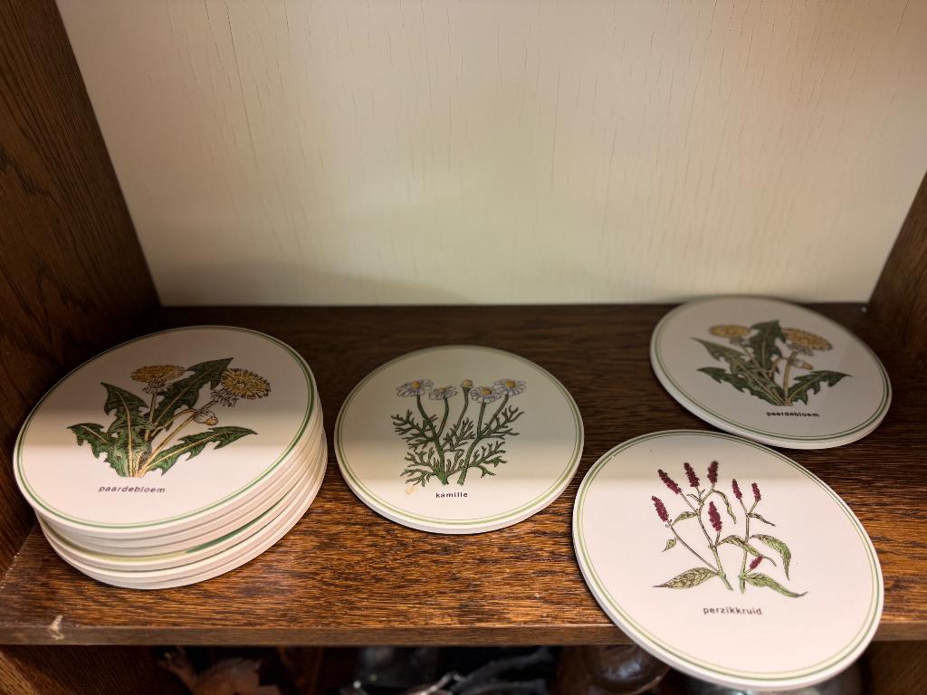 Keramiek onderzetters met bloemen planten, Ophalen, Overige soorten, Volle zon