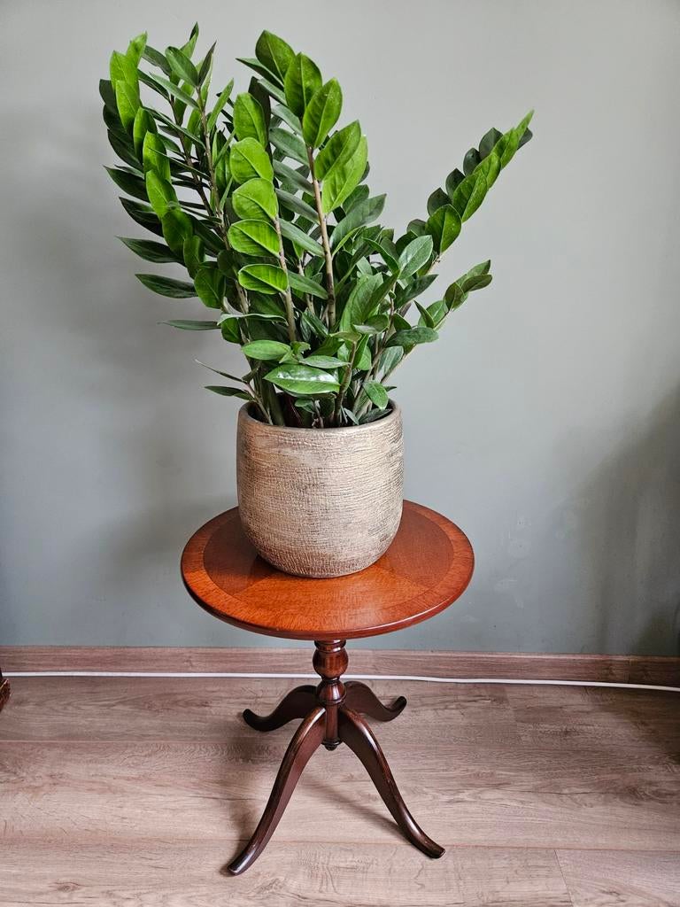Vintage houten bijzettafel / plantentafel, rond, klassiek, Huis en Inrichting, Krukjes, Ophalen, Zo goed als nieuw, Hout
