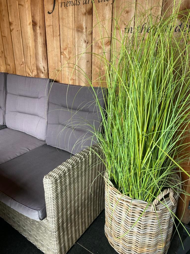 Kunst grassen in mand, Ophalen, Siergrassen