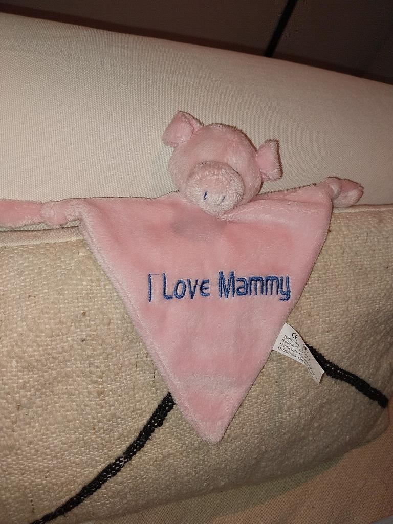 I love mamma varken big beleduc, Ophalen of Verzenden, Zo goed als nieuw, Overige typen