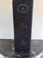 LTC Karaoke Star 3 speaker, Ophalen, Gebruikt, Front, Rear of Stereo speakers, Overige merken