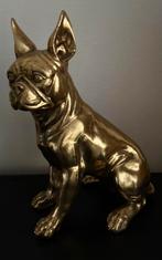 Goudkleurig hond, Ophalen, Zo goed als nieuw, Dier