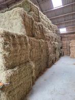 Hooi/stro en kuilbalen, Dieren en Toebehoren, Dierenvoeding, Ophalen, Vee