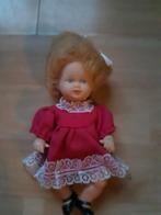 SCHILDPAD POPJE CA. 17 CM. LANG, Ophalen of Verzenden, Gebruikt, Pop