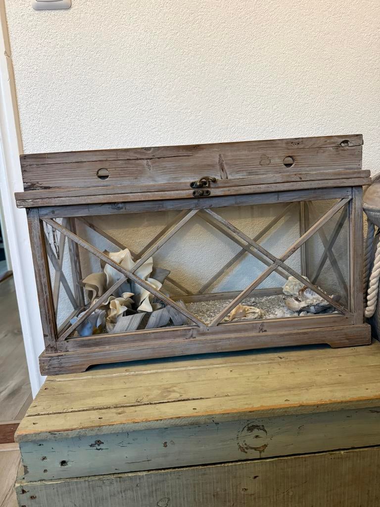 Heel leuk glazen kistje, Huis en Inrichting, Woonaccessoires | Kisten, Ophalen of Verzenden, Zo goed als nieuw, Minder dan 50 cm
