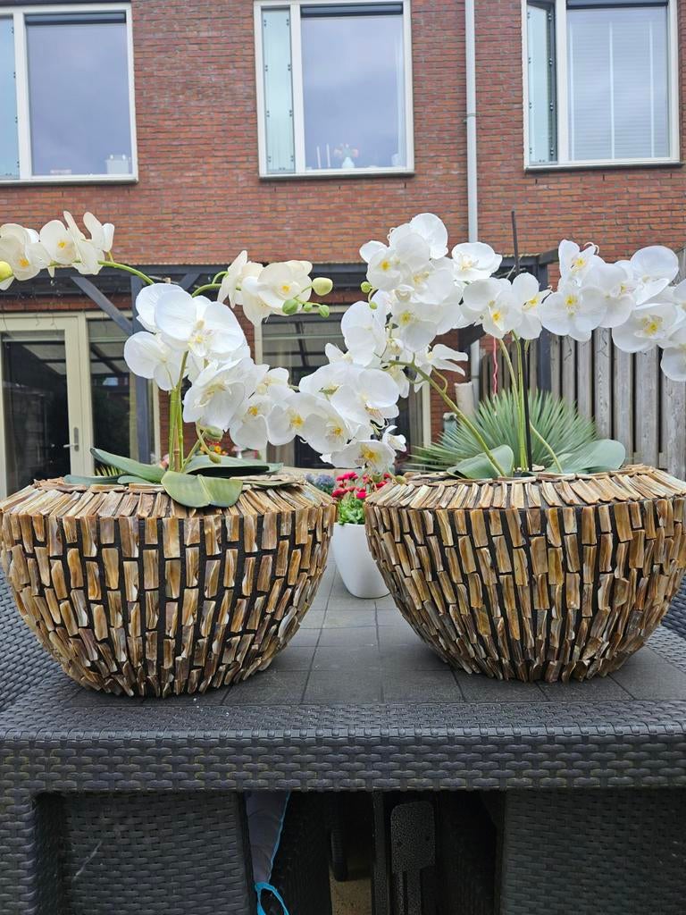 Set van 2 grote schelp bloempotten van kunststof, Kunststof, Gebruikt, Ophalen of Verzenden, Binnen