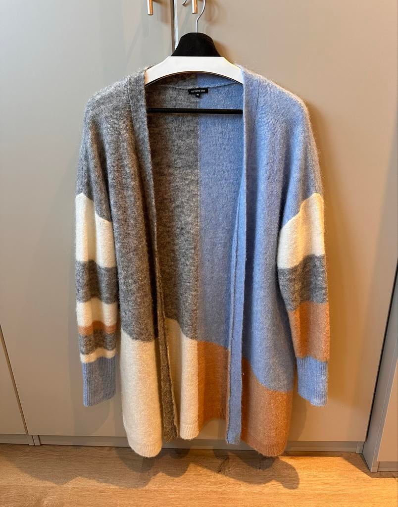 Caroline Biss wollen vest, Ophalen of Verzenden, Gedragen, Maat 42/44 (L), Blauw