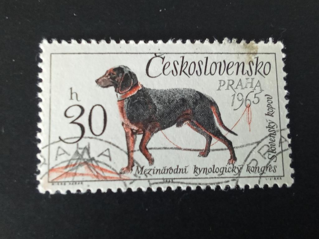 Tsjeslowakije 43 - hond, Verzenden, Dier of Natuur