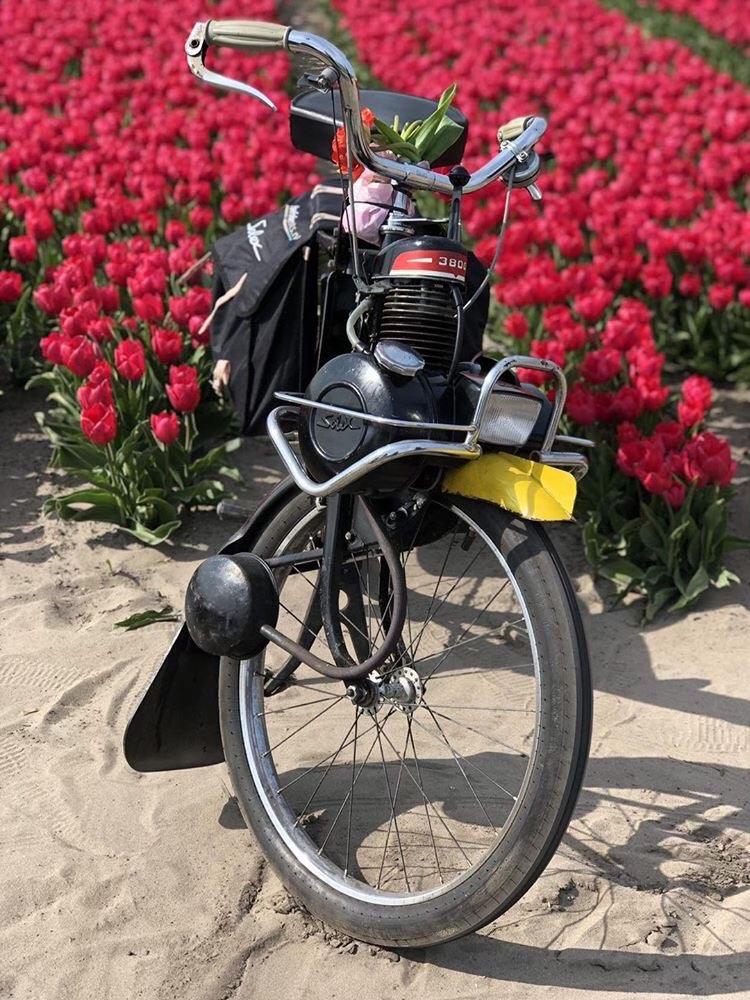 60 Goedlopende Solexen te Koop – Rijklaar – €250 tot €300, Fietsen en Brommers, Brommers | Solex, Ophalen, Gebruikt, Oto, Maximaal 25 km/u