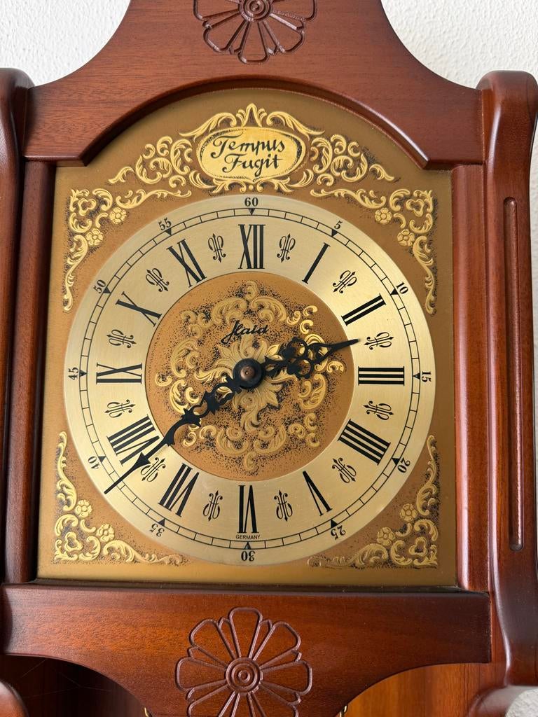 Prachtige Tempus Fugit wandklok met slinger, Ophalen