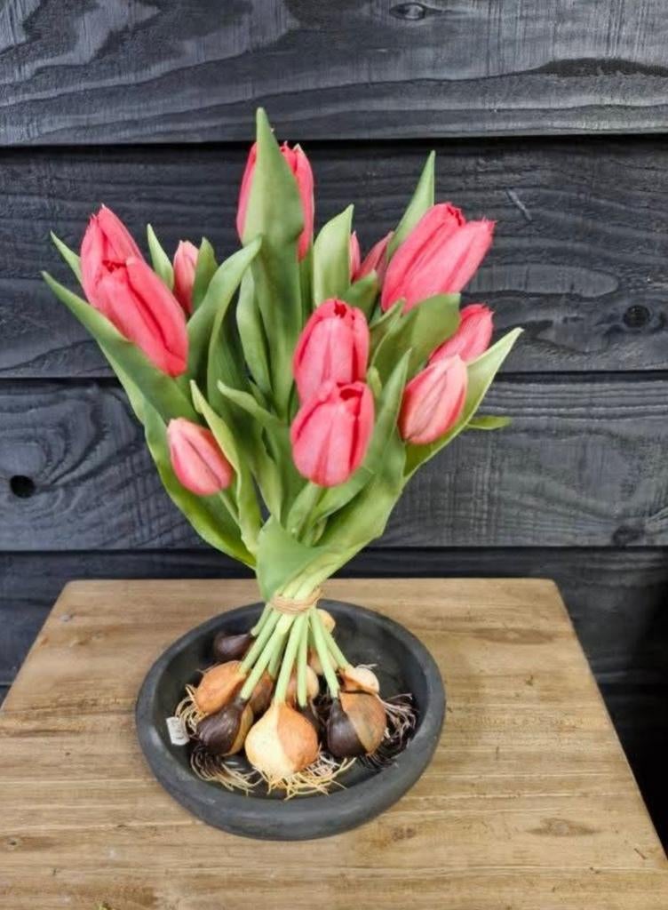 Bosje tulpen met knolletjes, Ophalen of Verzenden