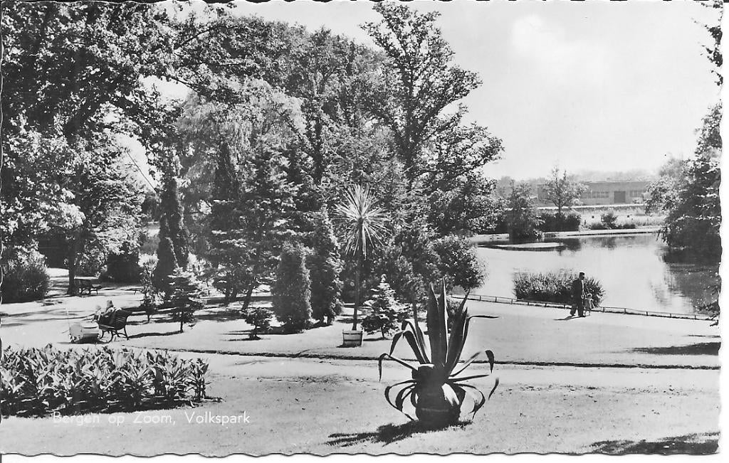 Bergen op Zoom   Volkspark., Ophalen of Verzenden, 1960 tot 1980, Gelopen, Noord-Brabant