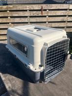 Honden transportbox, Dieren en Toebehoren, Ophalen of Verzenden, Gebruikt