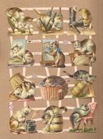 Spelende poezen nostalgie poezieplaatjes 7388, Ophalen of Verzenden