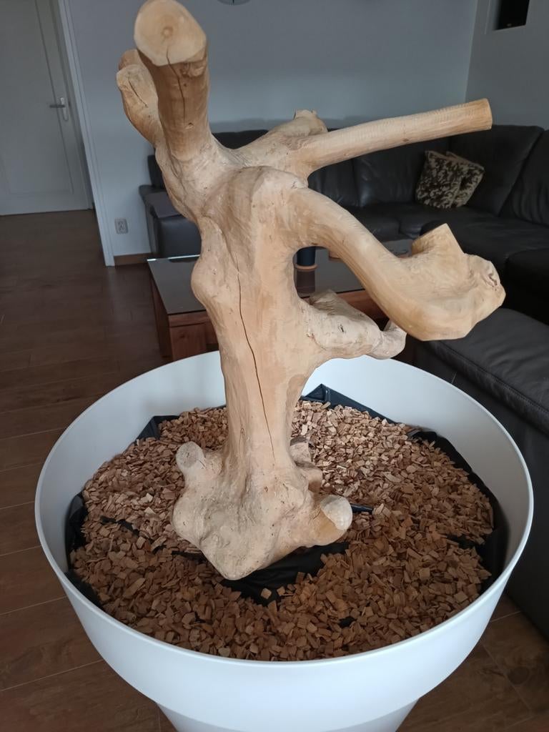 Java boom/ papegaaientak incl pot/opvangbak voor papegaai, Ophalen, Gebruikt