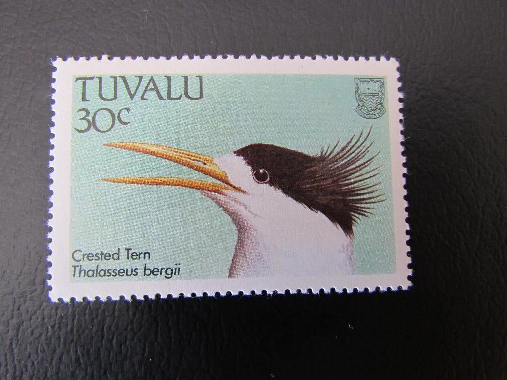 Postzegel Vogel: Grote Kuifstern uit Tuvalu, Ophalen of Verzenden, Postfris, Dier of Natuur