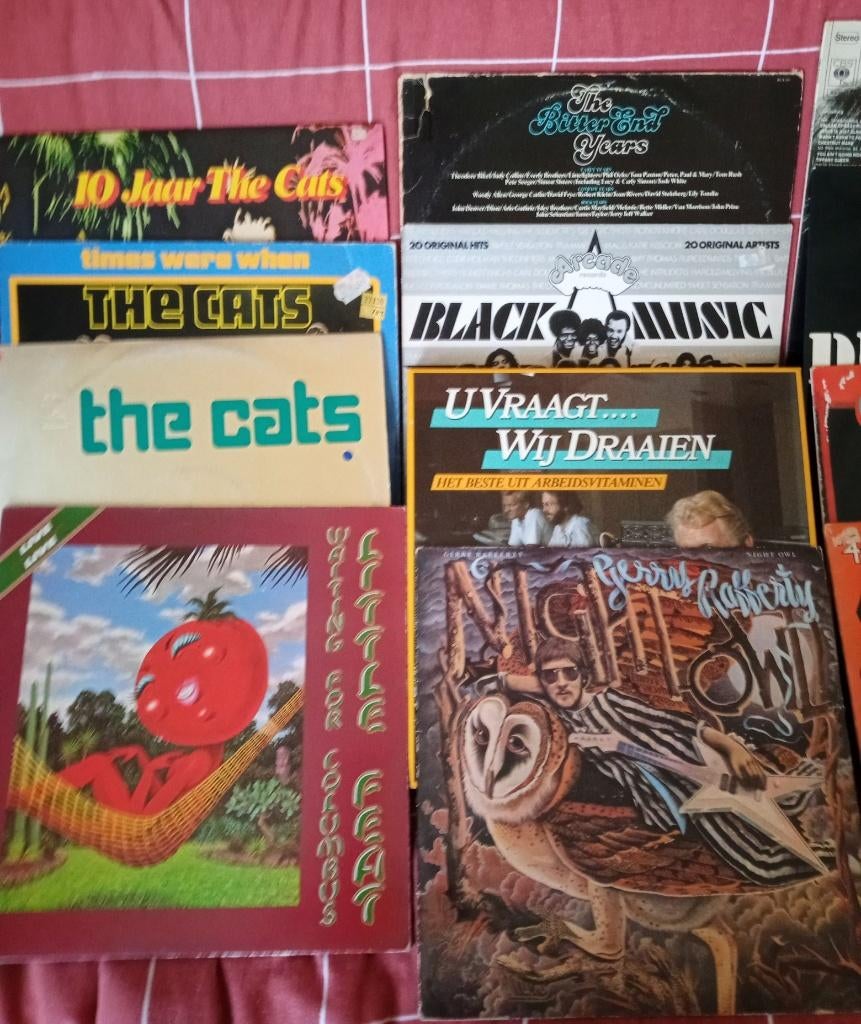 Partij 60 Lp's. Inclusief 6 boxen., Ophalen, Gebruikt, Fotohoes, 1970 - 1979