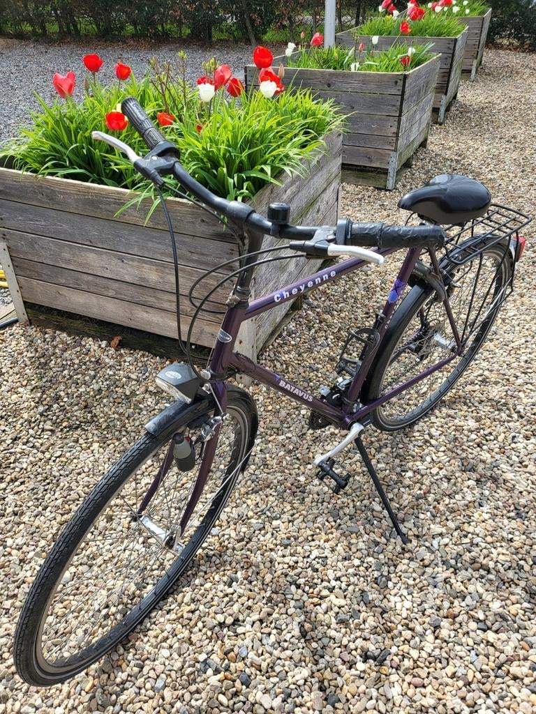 Batavus Cheyenne herenfiets, Ophalen, Gebruikt, Batavus, Versnellingen