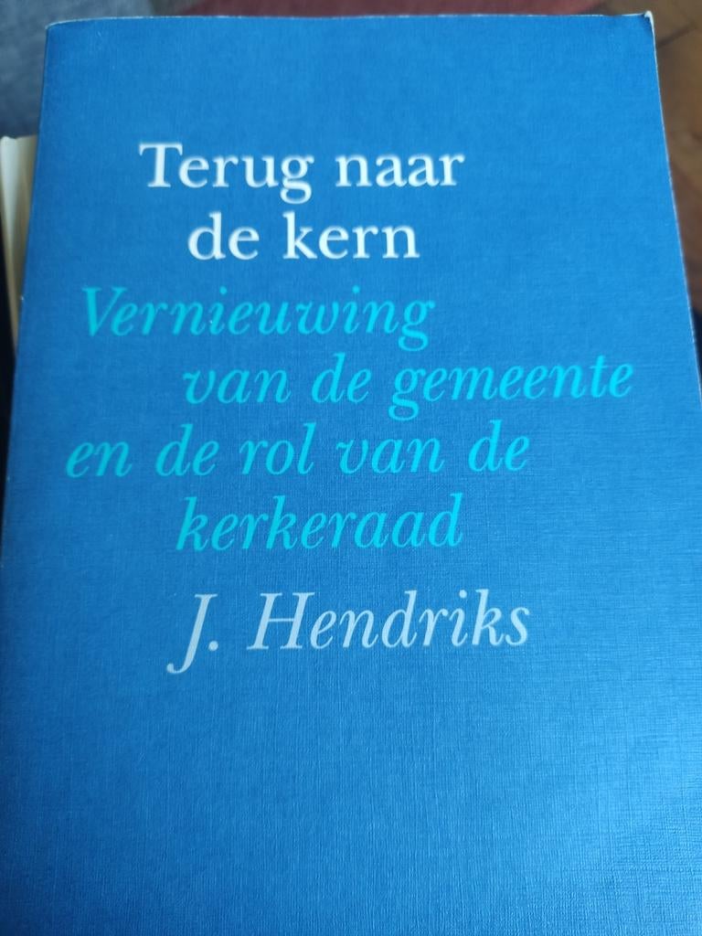 J. Hendriks - Terug naar de kern, Ophalen of Verzenden, Zo goed als nieuw, J. Hendriks