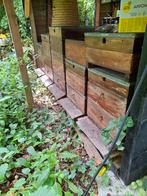 Red cedar simplex bijenkast, Dieren en Toebehoren, Bijen