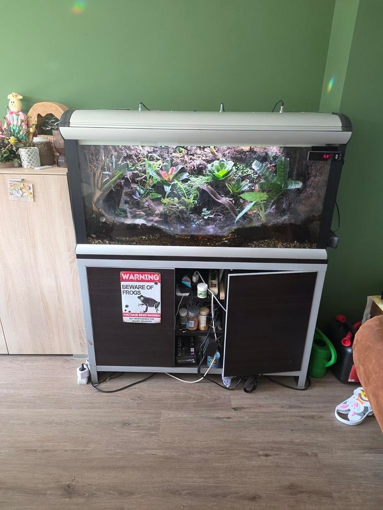 Paludarium 150x50x70 incl veel gifkikkers super compleet, Amfibie, 0 tot 2 jaar
