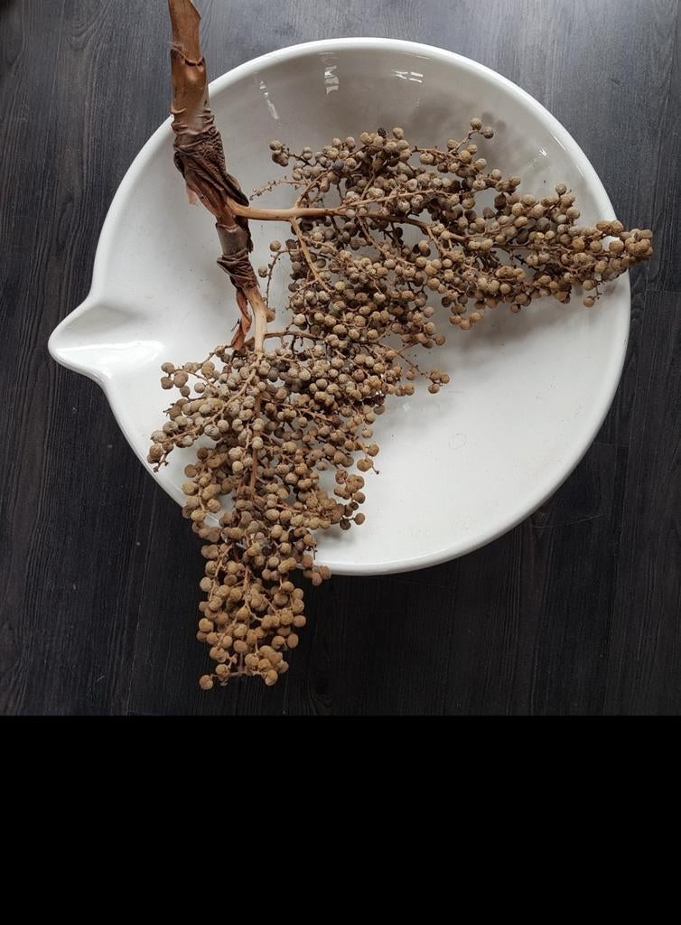 Afroomschaal XL Societe Ceramique Maastricht, Ophalen of Verzenden