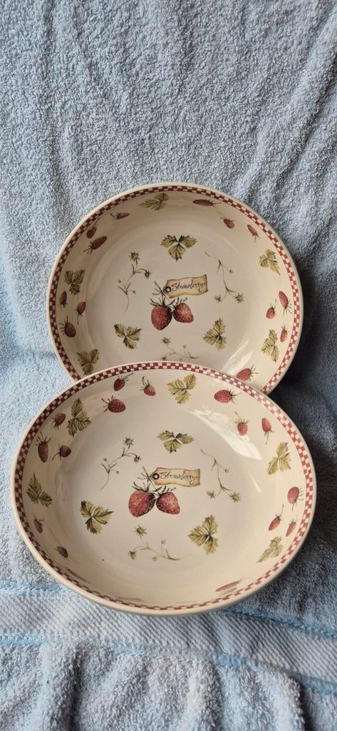aardewerk schalen met aardbeienmotief -Jet ter Steege, Gebruikt, Ophalen of Verzenden, Schaal of Schalen, Overige stijlen