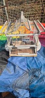 Brokkante vogelkooi, Ophalen of Verzenden, Metaal, Vogelkooi