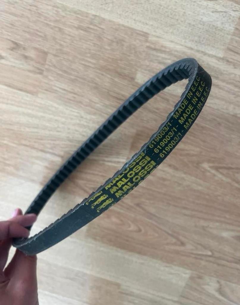 Malossi V-snaar - Hoge Kwaliteit Aandrijfriem, Ophalen of Verzenden, Nieuw, Overige typen