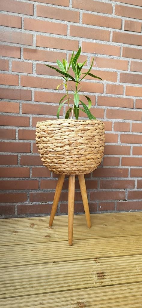Boho plantenstandaard mand op houten poten | Rotan / zeegras, Tuin en Terras, Bloembakken en Plantenbakken, Rond, Ophalen of Verzenden
