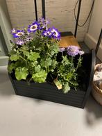 Buitenplanten, Ophalen, Zo goed als nieuw