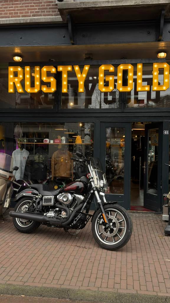 Harley Davidson windscherm, Motoren, Onderdelen | Harley-Davidson, Ophalen of Verzenden, Nieuw