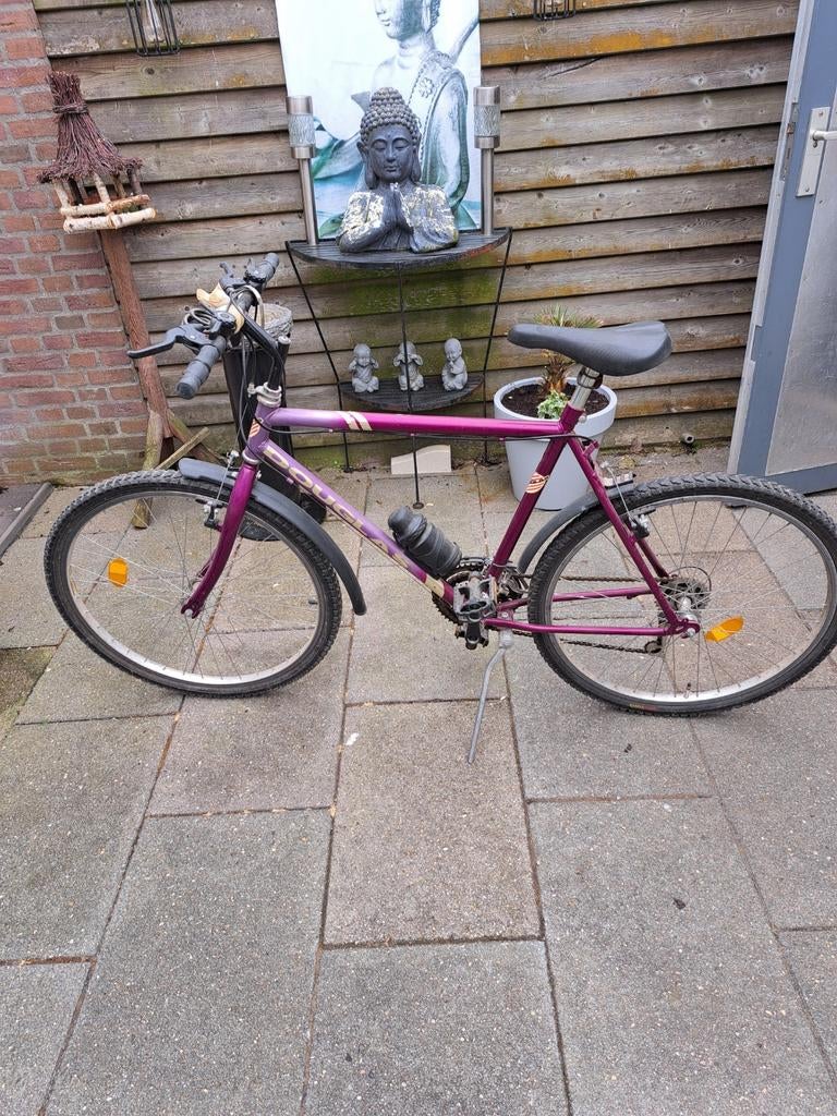 Mountainbike, Fietsen en Brommers, Fietsen | Mountainbikes en ATB, 53 tot 57 cm, Ophalen, Overige merken