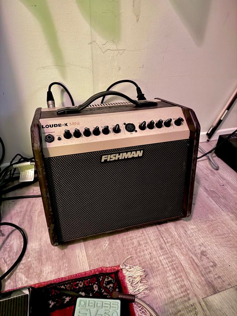 Fishman Loudbox Mini, Muziek en Instrumenten, Versterkers | Bas en Gitaar, Gebruikt, 50 tot 100 watt, Ophalen